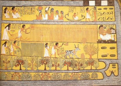 Maillons essentiels de l'économie, les paysans et le blé, l'orge, mais aussi la salade, l'ail... (6) en Égypte ancienne ! Maillons essentiels de l'économie, les paysans et le blé, l'orge, mais aussi la salade, l'ail... (6) en Égypte ancienne !
