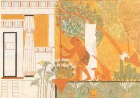 Maillons essentiels de l'économie, les paysans et le blé, l'orge, mais aussi la salade, l'ail... (6) en Égypte ancienne ! Maillons essentiels de l'économie, les paysans et le blé, l'orge, mais aussi la salade, l'ail... (6) en Égypte ancienne !