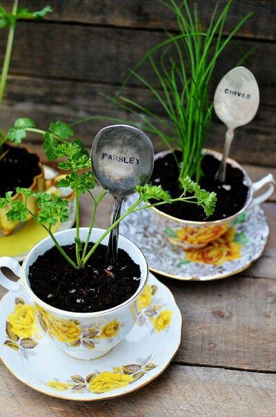 herb-garden-cup
