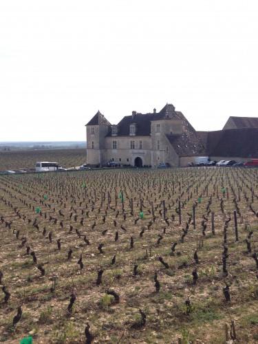 Beau comme un Grand jour... grands jours,bourgogne,marsannay,natural resistance,jonathan nossiter,paulée de marsannay