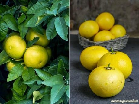 Pamplemousses confits (recette d'Anne-Sophie Pic)