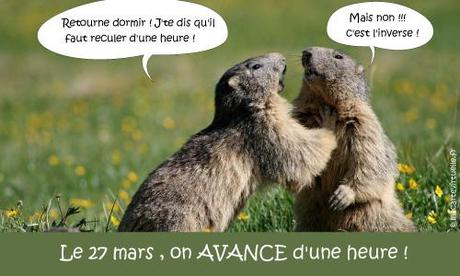 Changement d’heure :Heure d’été 345_TXpRMStE