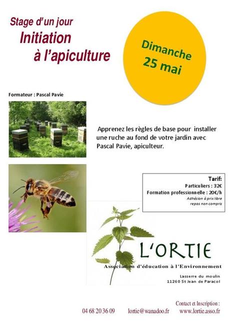 Je n'ai plus trop le temps de publier mes petites recette... 8528019