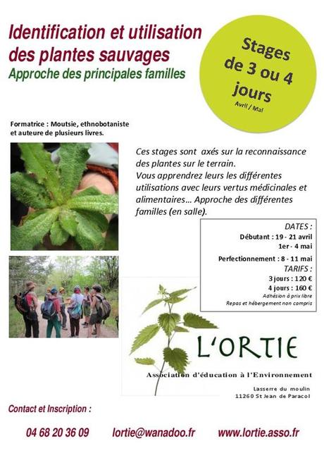 Je n'ai plus trop le temps de publier mes petites recette... 8528069