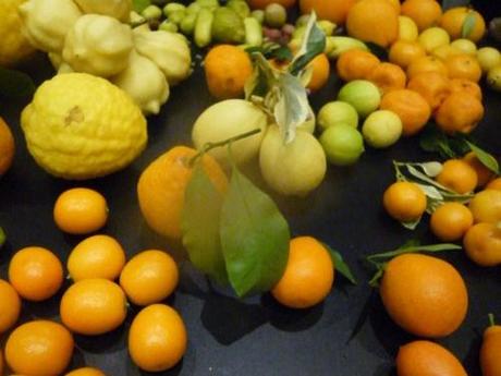 Les artisans Omnivore-3ème épisode : les Bachès, pépiniéristes voyageurs P1090657.JPG