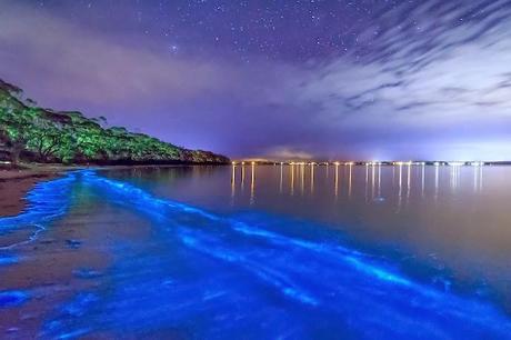 ✿.。.:* Plages aux Maldives, le paradis ! ✿.。.:* Plages aux Maldives, le paradis !