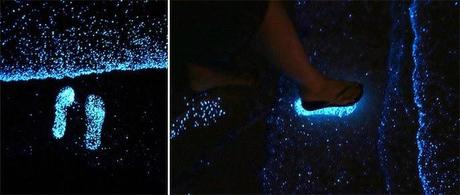 ✿.。.:* Plages aux Maldives, le paradis ! ✿.。.:* Plages aux Maldives, le paradis !