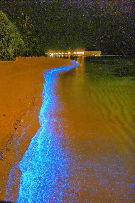 ✿.。.:* Plages aux Maldives, le paradis ! ✿.。.:* Plages aux Maldives, le paradis !