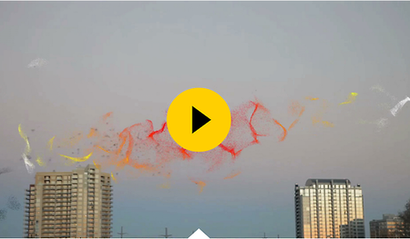 Le travail de sound-design de Bacardi
Pour donner une... Le travail de sound-design de Bacardi
Pour donner une...