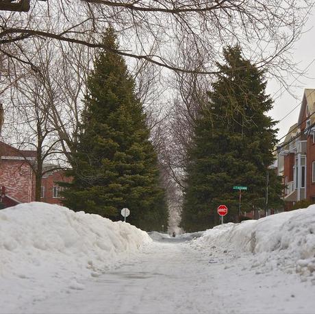 Est-ce qu'il y a de la vie après la neige ? (ANNONCE INSIDE) anteketborka.blogspot.com, printemps 7