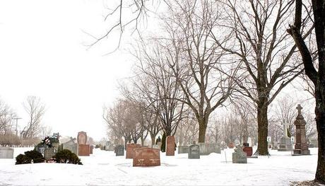 Est-ce qu'il y a de la vie après la neige ? (ANNONCE INSIDE) anteketborka.blogspot.com, printemps 8