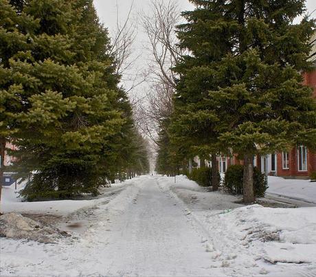 Est-ce qu'il y a de la vie après la neige ? (ANNONCE INSIDE) anteketborka.blogspot.com, printemps 8