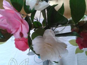 Bouquet de printemps bouquet camelia