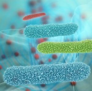 MICROBIOTE: L'analyser chez le petit enfant pour le «probioter» – Applied and Environmental Microbiology