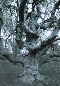 1 Elie Laurent Badessi the Tree_of_Love_Brooklyn_2012 -