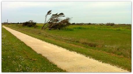 Max | Orientation olévent.jpg