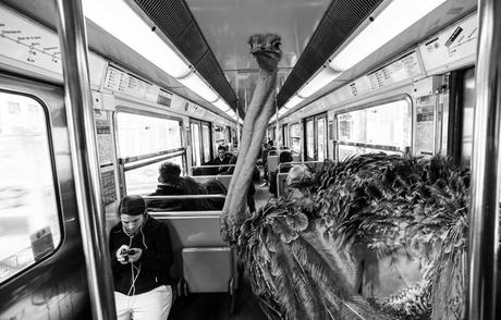 Quand le métro Parisien est envahi par de drôles d’animaux clarisse-rebotier-Animetro-06