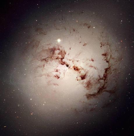 The Dusty Galaxy NGC 1316