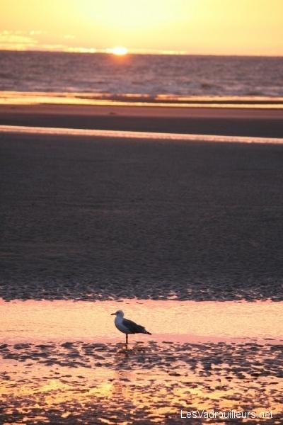 Plage de Quend-Plage Plage de Quend-Plage
