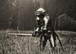 EXPO. Batman, Spiderman, Superman : Le quotidien des super-héros déchus Daniel Polevoy - Maître Yoda