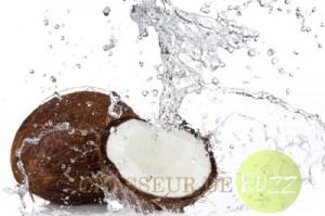 8 aliments pour plus de peps eau de coco