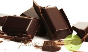 8 aliments pour plus de peps chocolat noir