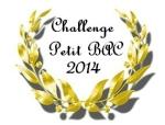 Comme une tombe - Peter JAMES 0 Challenge Petit bac 2014