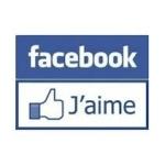 Brownies aux 2 chocolats et aux fruits secs fb