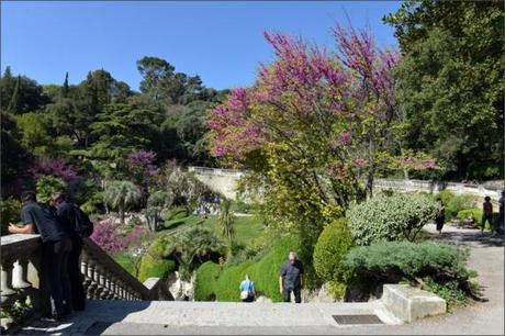 Jardins de la Fontaine, Nîmes, Parcs, Jardins publics