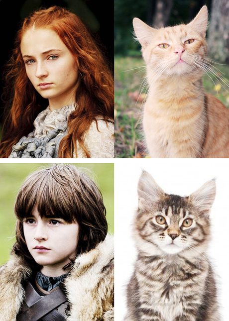 Game Of Thrones : c’est reparti pour la saison 4 tumblr_mjou9cvHkP1rck2sso6_500