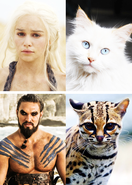Game Of Thrones : c’est reparti pour la saison 4 tumblr_mjou9cvHkP1rck2sso9_500