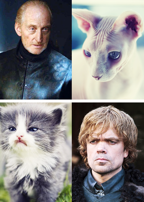 Game Of Thrones : c’est reparti pour la saison 4 tumblr_mjou9cvHkP1rck2sso4_500