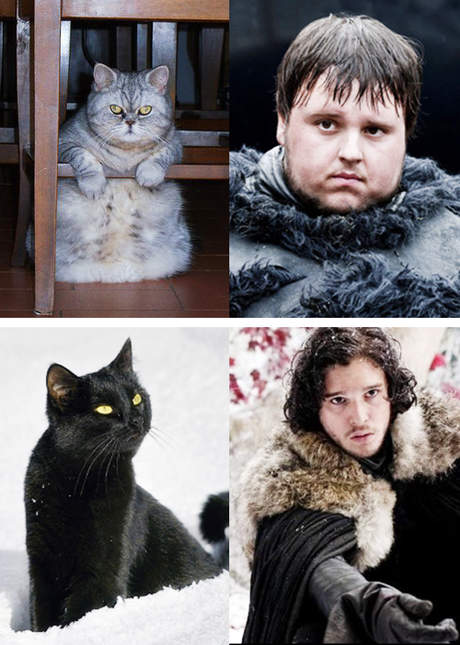 Game Of Thrones : c’est reparti pour la saison 4 tumblr_mjou9cvHkP1rck2sso7_500