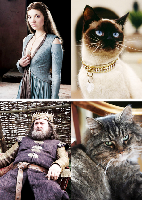 Game Of Thrones : c’est reparti pour la saison 4 tumblr_mjou9cvHkP1rck2sso2_500