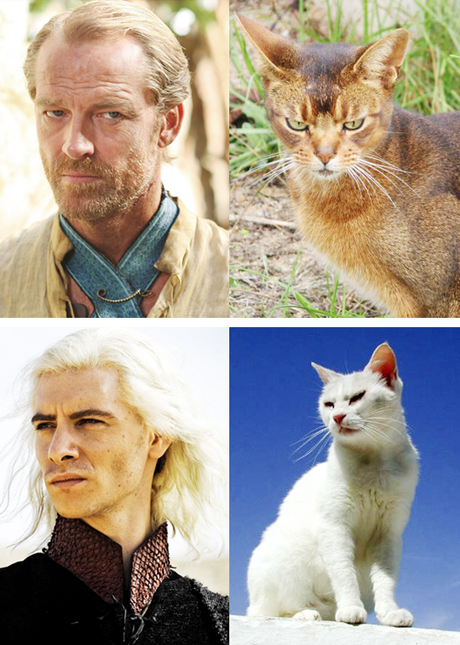 Game Of Thrones : c’est reparti pour la saison 4 tumblr_mjou9cvHkP1rck2sso8_500