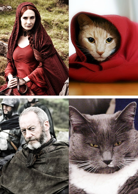 Game Of Thrones : c’est reparti pour la saison 4 tumblr_mjou9cvHkP1rck2sso1_500
