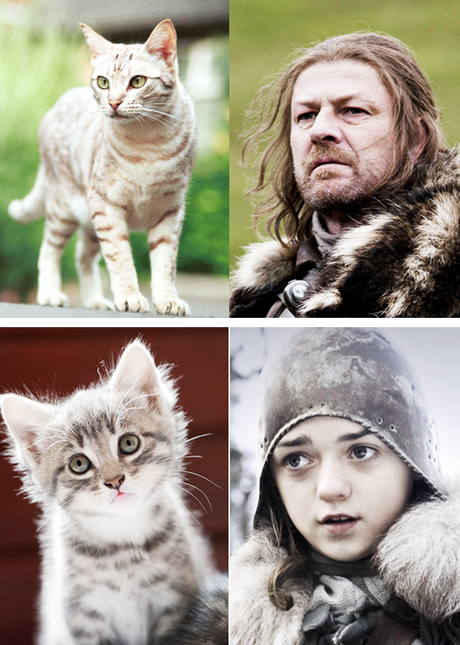 Game Of Thrones : c’est reparti pour la saison 4 tumblr_mjou9cvHkP1rck2sso5_500