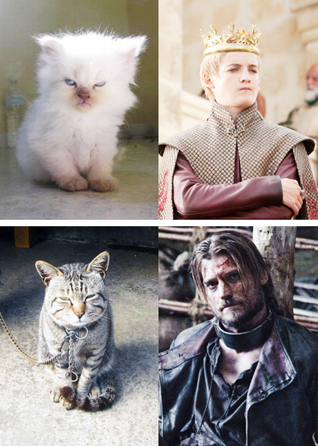 Game Of Thrones : c’est reparti pour la saison 4 tumblr_mjou9cvHkP1rck2sso3_500
