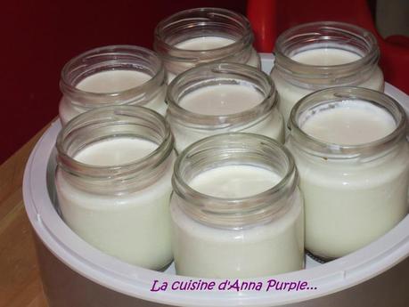 LA CUISINE DANNA PURPLE yaourt maison nature au lait de brebis