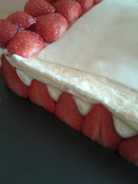 Fraisier 20140406_185224