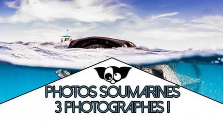 Photos sous marine : 3 photographes