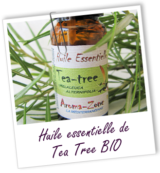 L’huile essentielle de tea tree, votre allié contre les boutons