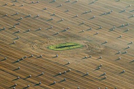 L’accaparement de terres et la concentration foncière menacent-ils l’agriculture et les campagnes françaises ? L’accaparement de terres et la concentration foncière menacent-ils l’agriculture et les campagnes françaises ?