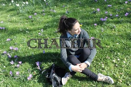 Chaleur Chaleur