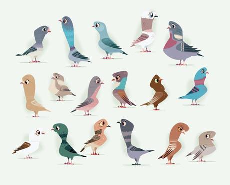 Art : Birds And Cages Illustrations