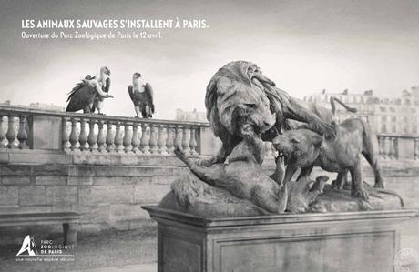 Les animaux sauvages s’installent à Paris parczoologiquedeparis0