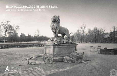 Les animaux sauvages s’installent à Paris parczoologiquedeparis02