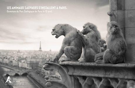 Les animaux sauvages s’installent à Paris parczoologiquedeparis04