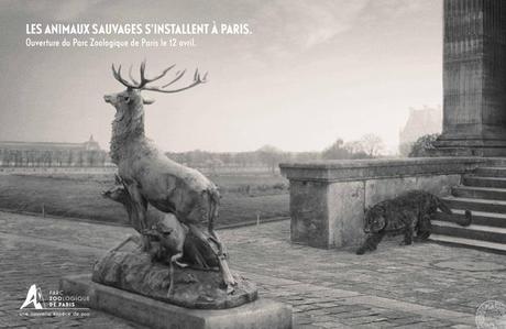 Les animaux sauvages s’installent à Paris parczoologiquedeparis01