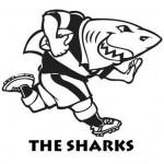Sharks Rugby Durban